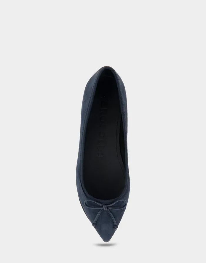 Aerosoles Comfortable Women039s Point Toe Flat In Navy Genuine Suede Navy Genuine Suede Women Ballet