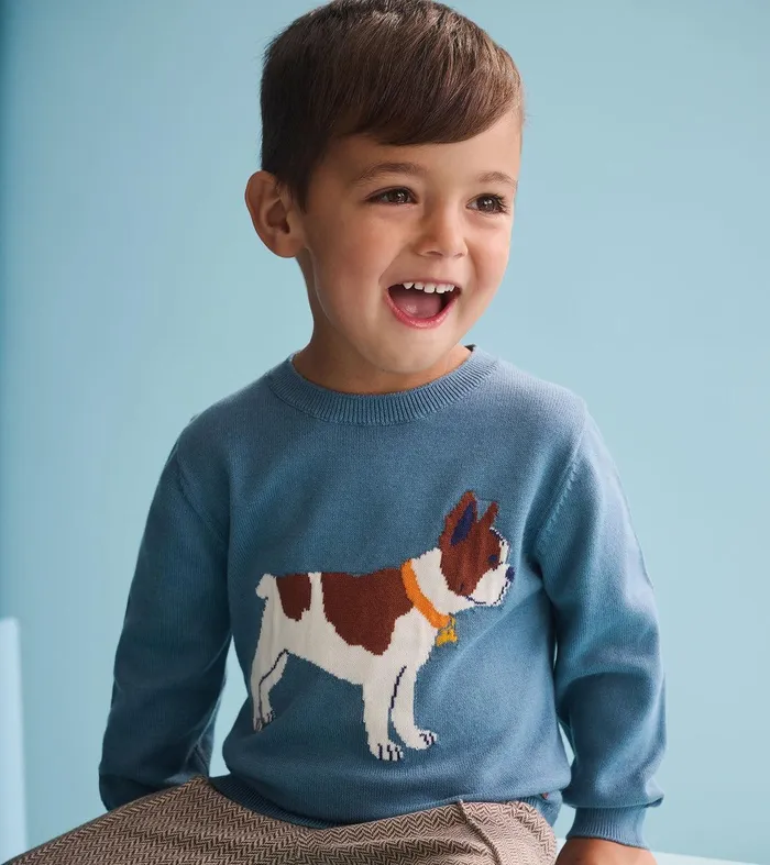 Baby and Toddler Boys French Bulldogs Crew Neck Sweater Hatley