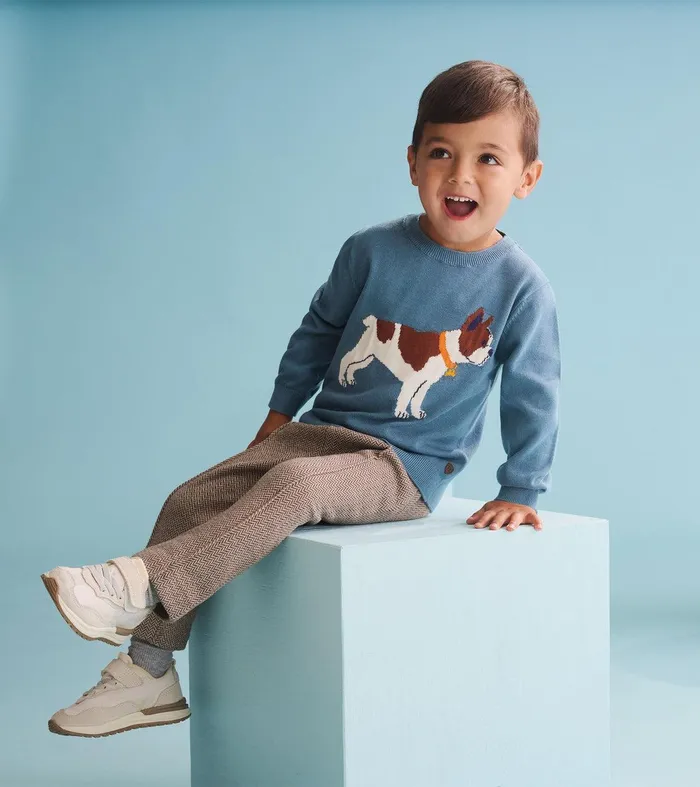 Baby and Toddler Boys French Bulldogs Crew Neck Sweater Hatley