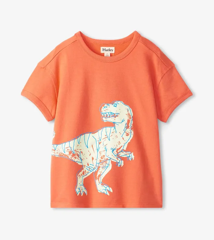 Boys Dino Glow Graphic Tee Hatley