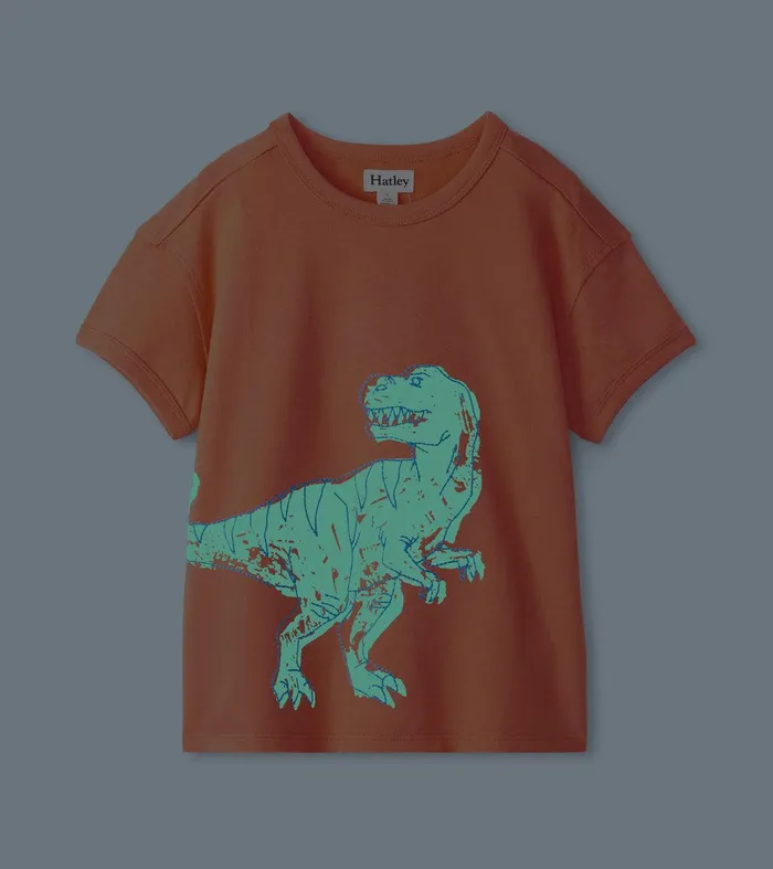 Boys Dino Glow Graphic Tee Hatley