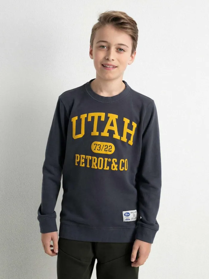 Boys Knits and Sweats Petrol Industries Pullover With Logo Artwork Raven Grey