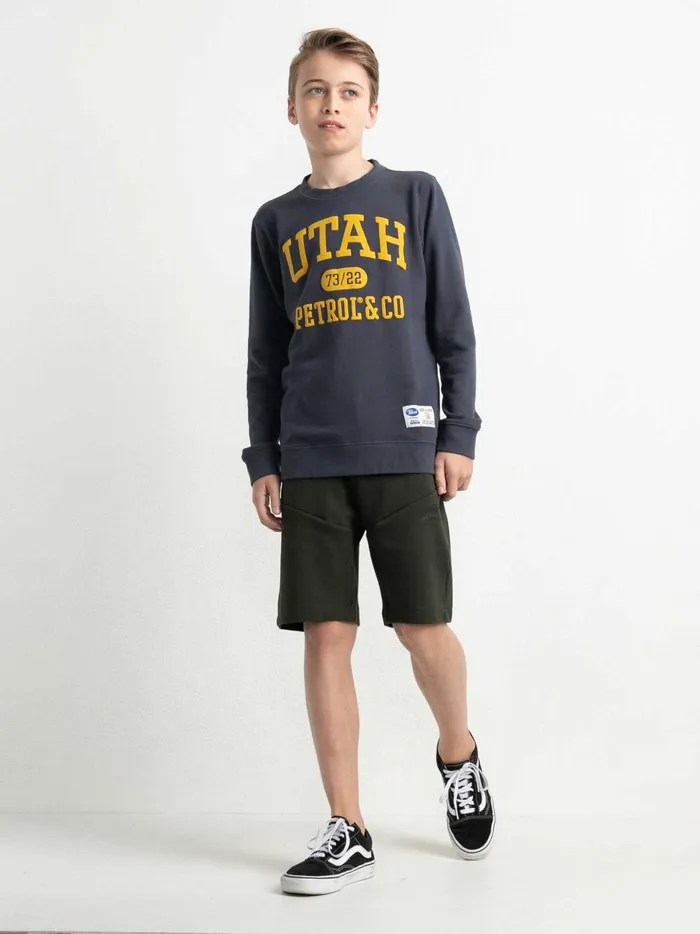 Boys Knits and Sweats Petrol Industries Pullover With Logo Artwork Raven Grey