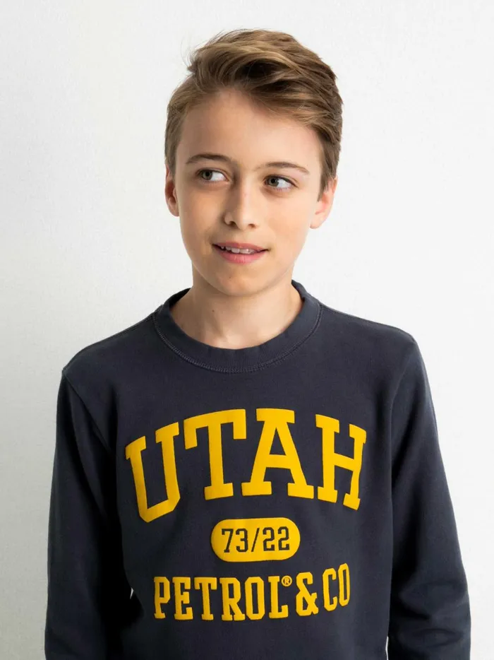 Boys Knits and Sweats Petrol Industries Pullover With Logo Artwork Raven Grey