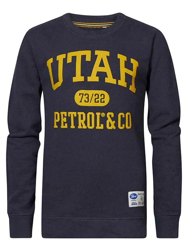 Boys Knits and Sweats Petrol Industries Pullover With Logo Artwork Raven Grey