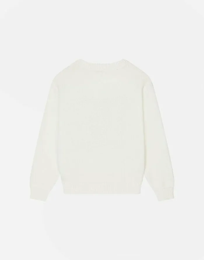Dolce and Gabbana Sweaters Children Plainknit Cotton Roundneck Pullover With Inlaid DG Logo Multicolor Dolce and Gabbana Sweaters Children Plainknit Cotton Roundneck Pullover With Inlaid DG Logo Multicolor