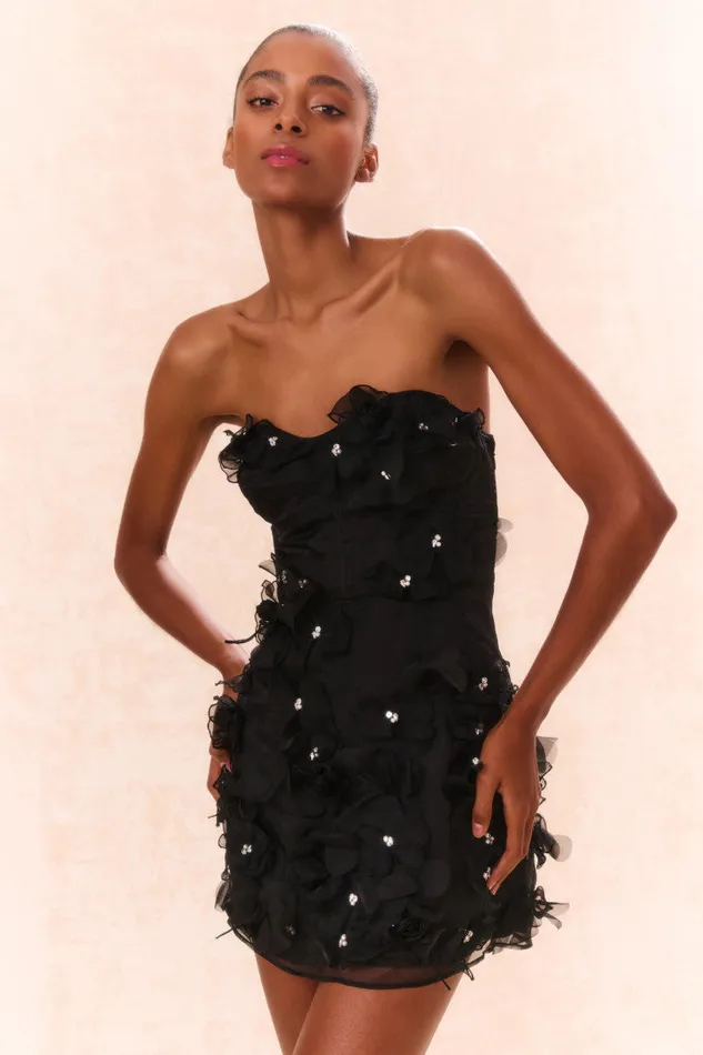 Dresses Women LoveShackFancy Sabila Organza Mini Dress Black