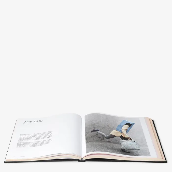 Fendi Books PeekabooK Peekaboo Bag Celebratory Limited Edition Book 8211 MenWomen