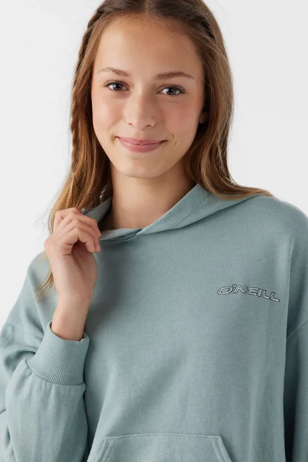 GIRL039S ASHER HOODED PULLOVER FLEECE Silver Blue Kids O039NEILL Girl039S Clothing