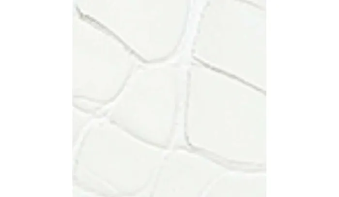 Heels Women Franco Sarto Sarto Visa 2 Mule White Snake Leather