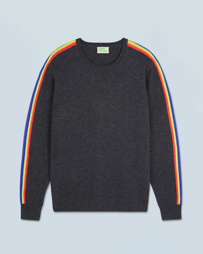Men Cashmere Sweaters From Future Crewneck Sweater With Multicolor Sleeve Stripes Charcoal H Men Cashmere Sweaters From Future Crewneck Sweater With Multicolor Sleeve Stripes Charcoal H