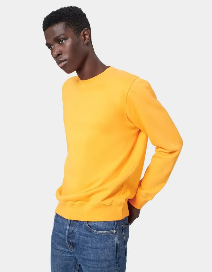 Men Crewneck Sweatshirts Colorful Standard Classic Organic Crew Purple Haze