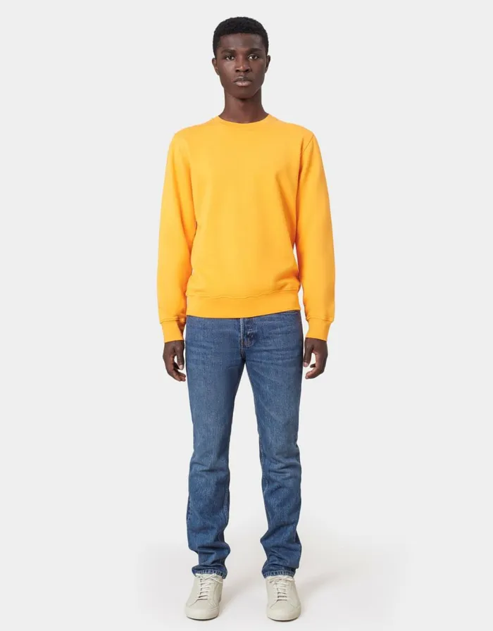 Men Crewneck Sweatshirts Colorful Standard Classic Organic Crew Purple Haze