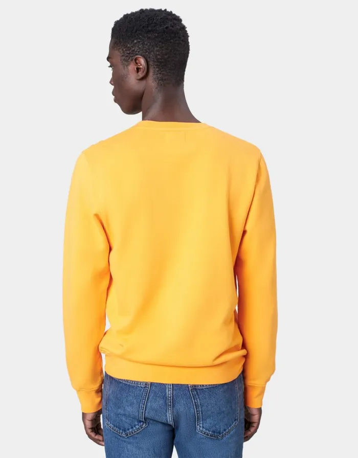 Men Crewneck Sweatshirts Colorful Standard Classic Organic Crew Purple Haze