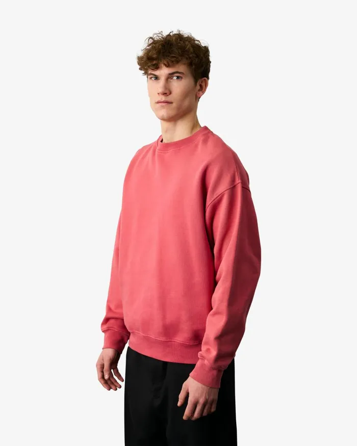 Men Crewneck Sweatshirts Colorful Standard Organic Oversized Crew Ivory White