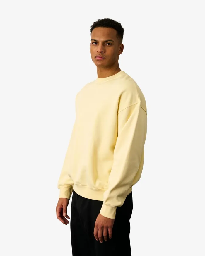 Men Crewneck Sweatshirts Colorful Standard Organic Oversized Crew Scarlet Red