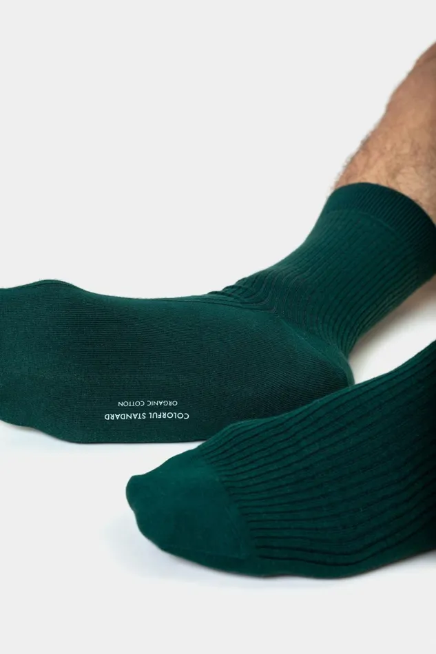 Men Socks and Colorful Standard Classic Organic Sock Polar Blue