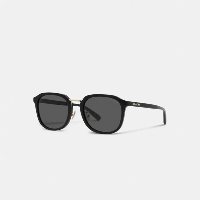 Men Sunglasses Coach Rounded Geometric Sunglasses Black
