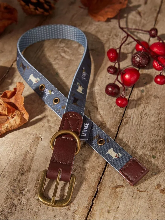 Pet Accessories Fat Face Grey Dogs Medium Collar