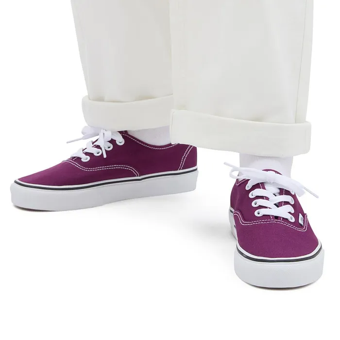 Vans Lowtop Shoes Men Authentic Shoes Purple