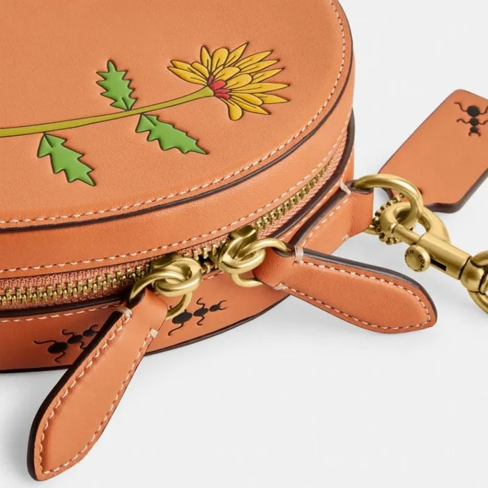 Women Crossbody Bags Coach Coach X Observed By Us Heart Crossbody Brassfaded Orange Multi Women Crossbody Bags Coach Coach X Observed By Us Heart Crossbody Brassfaded Orange Multi