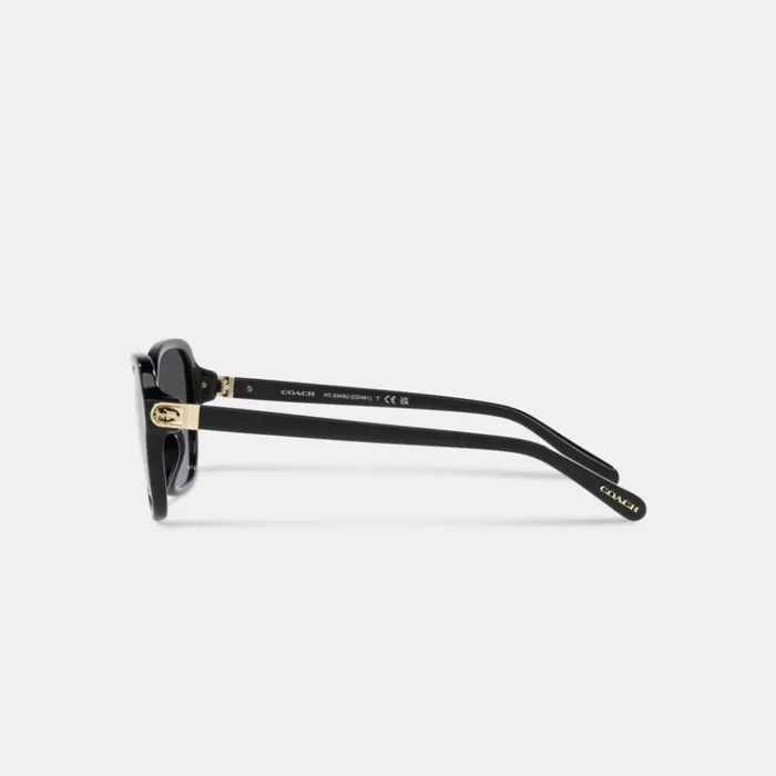 Women Eyewear Coach Hinged Horse And Carriage Square Sunglasses Black