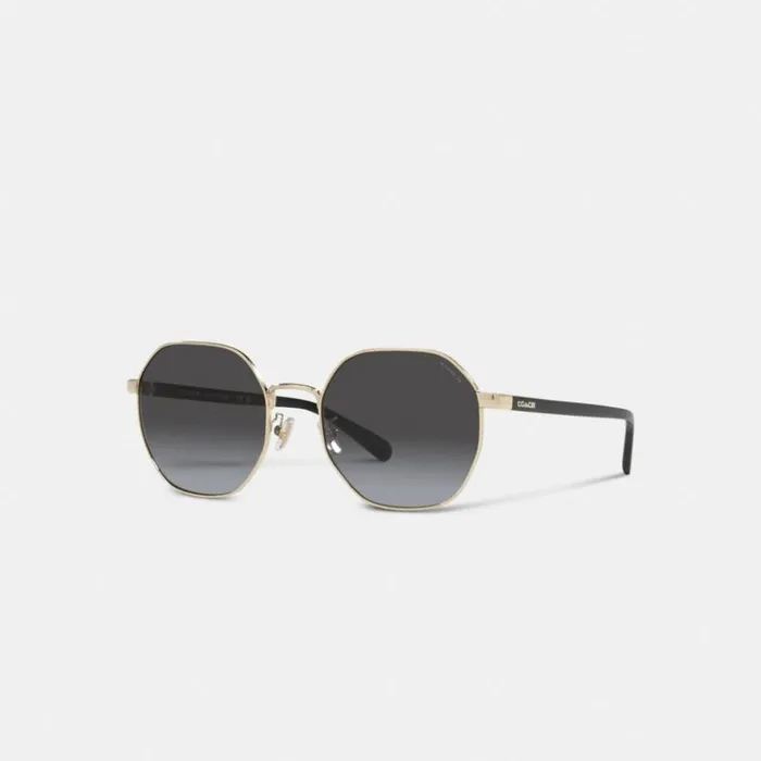 Women Eyewear Coach Metal Hexagon Sunglasses Black