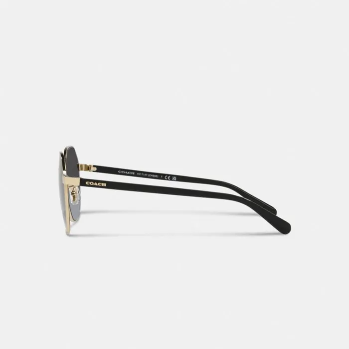 Women Eyewear Coach Metal Hexagon Sunglasses Black