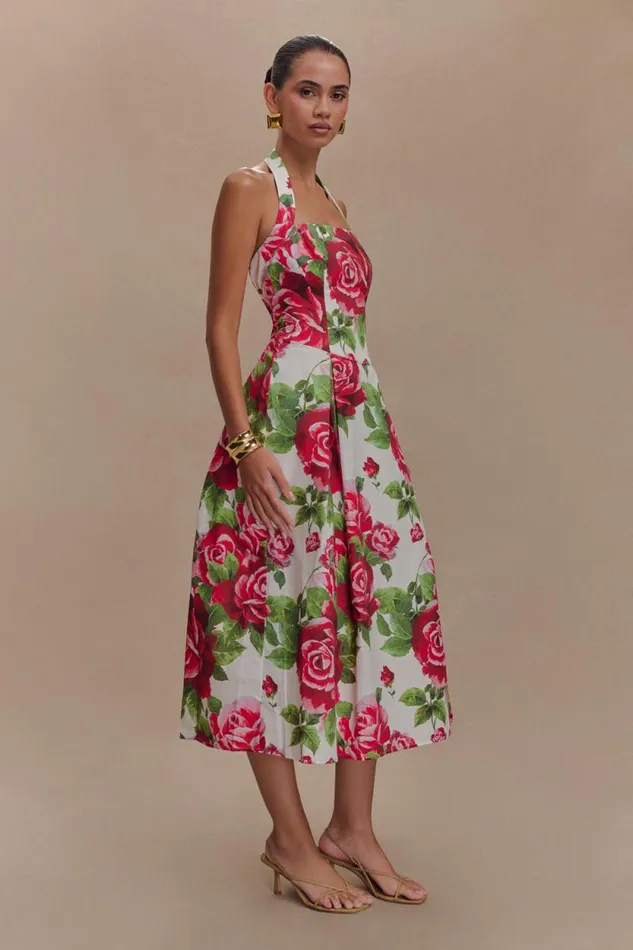 Women Meshki Dresses Juana Halter Midi Dress 8211 Sonia Rose Print