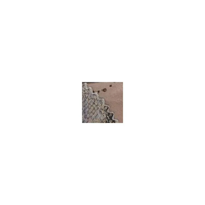 Women Moda In Pelle Casual Trainers Anatoli Stone Leather